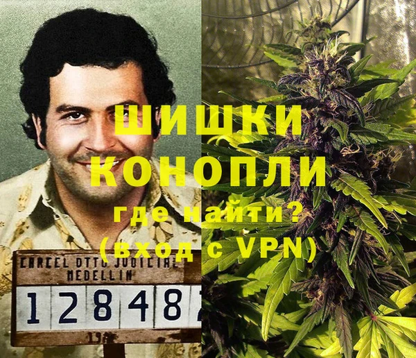 стаф Арсеньев