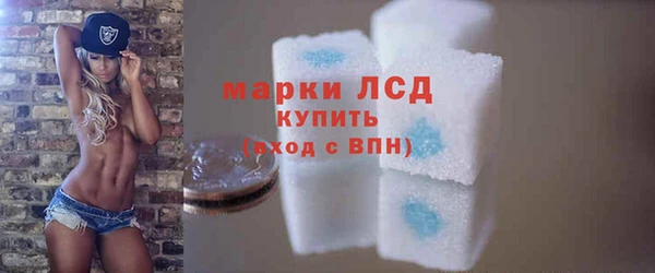 стаф Арсеньев