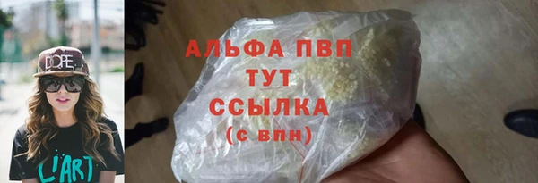 стаф Арсеньев