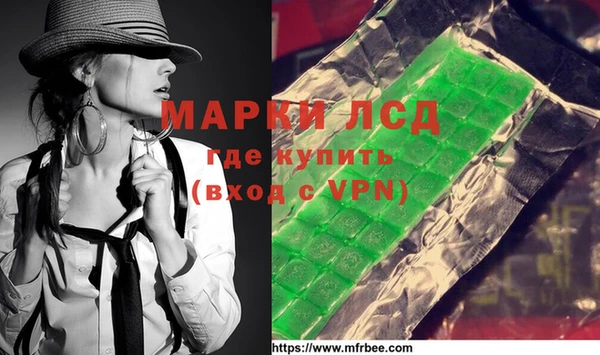 стаф Арсеньев