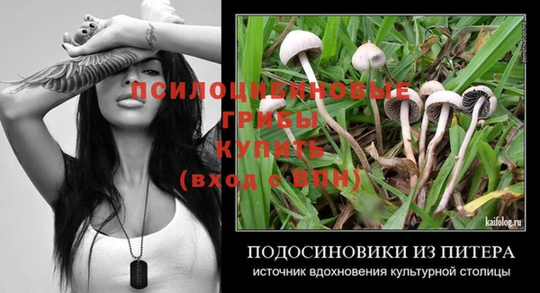 стаф Арсеньев