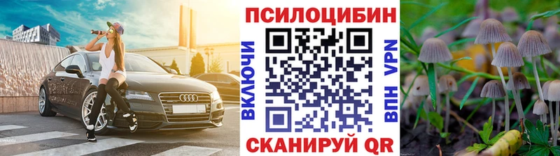 MEGA как зайти  как найти   Палласовка  Галлюциногенные грибы Cubensis 