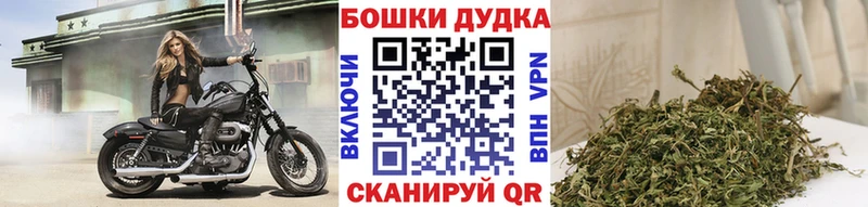 Конопля конопля  даркнет сайт  Палласовка 